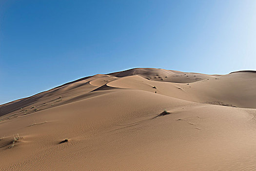 建筑,沙漠,沙子,沙丘,撒哈拉沙漠,摩洛哥,非洲