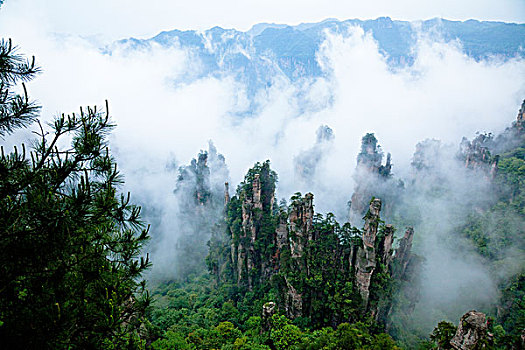 景色,区域,国家森林,公园,湖南,中国