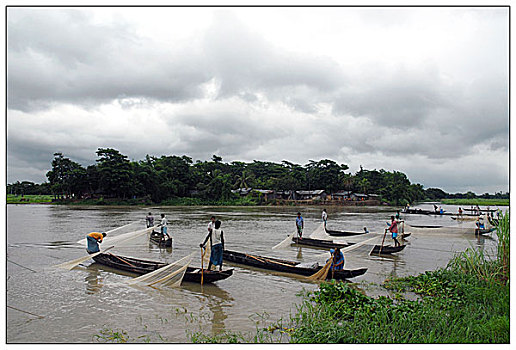 渔民,收集,蛋,海水,鱼,河,盐,可爱,水,孟加拉,五月,2007年