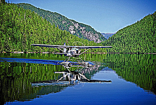 水上飞机,降落,平静,湖,海岸,不列颠哥伦比亚省,加拿大