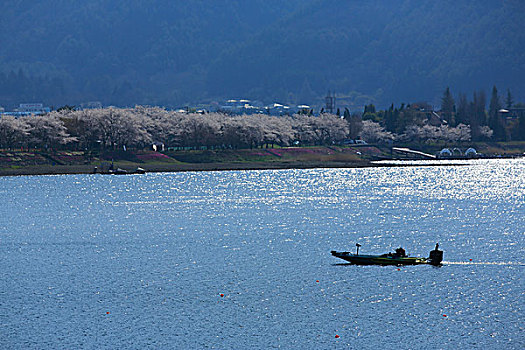 湖,渔船