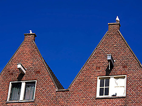 传统,荷兰,房子