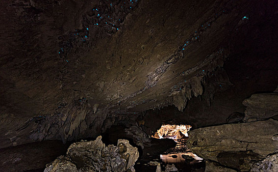 钟乳石,洞穴,萤火虫,生物群,北国,北岛,新西兰,大洋洲