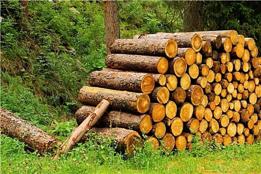 一堆,木头