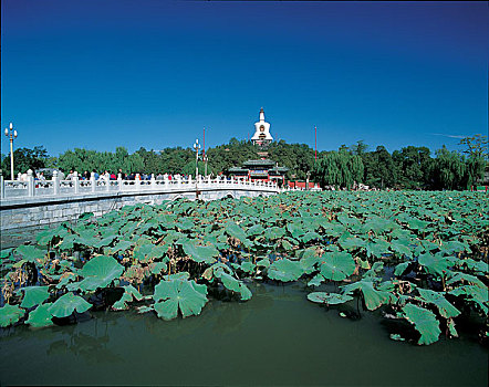 中国北京北海公园