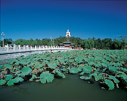 中國北京北海公園