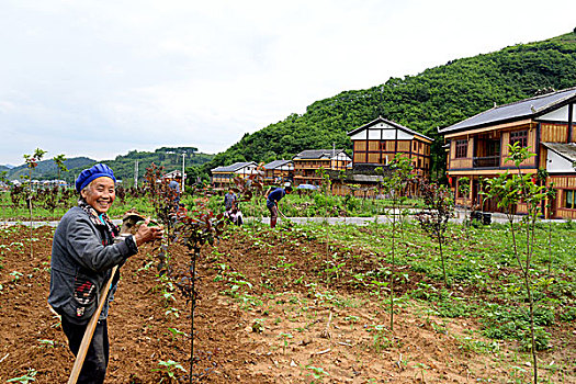 贵州遵义乡愁苟坝