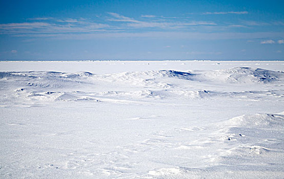 空,冬季风景,深,蓝天,雪,冰冻,波罗的海