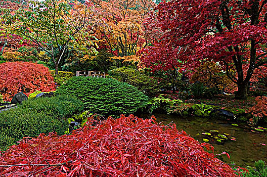 日式庭园,宝翠花园,维多利亚,温哥华岛,不列颠哥伦比亚省,加拿大