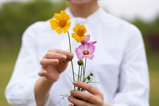 女人与花