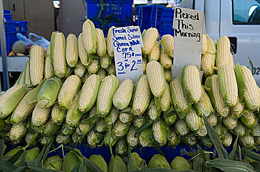 玉米,农民,洛杉矶,市场