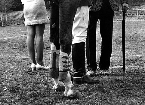 两个,马,腿,大腿,70年代,精准,地点,未知,捷克共和国,欧洲