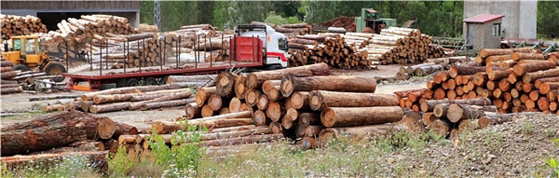 原木,木料,箱子,木质,产业