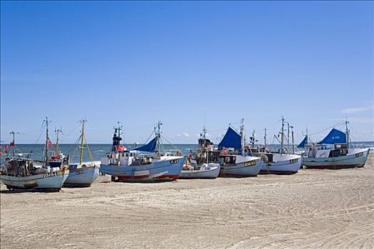 捕鱼,切割器具,海滩,北方,日德兰半岛,丹麦