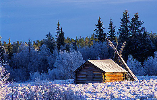 木屋,树,雪中,遮盖,山谷