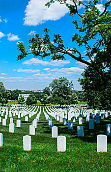 华盛顿特区,著名,阿灵顿国家公墓,墓穴,战争,英雄