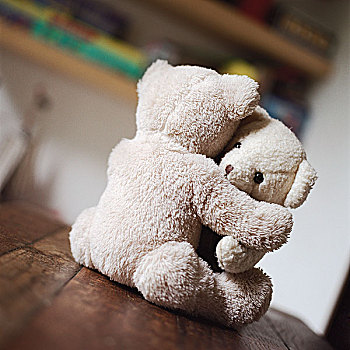 泰迪熊,搂抱,桌上