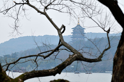 透过枯树看雷峰塔