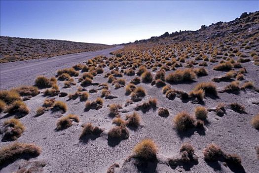阿塔卡马沙漠,智利