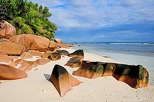 花冈岩,石头,沙滩,海滩,拉迪格岛,塞舌尔,非洲