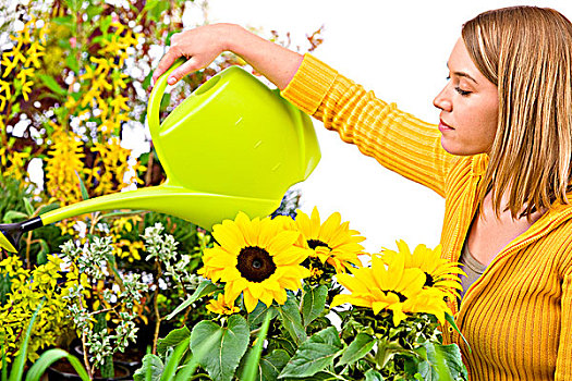 园艺,女人,倒出,花,洒水壶
