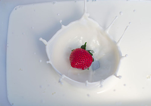 一个,草莓,溅,乳脂,酸奶