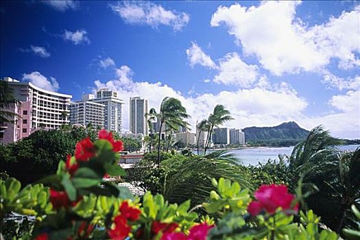 夏威夷,檀香山,瓦胡岛,怀基基海滩,钻石海岬,酒店,露台,花,植被,前景