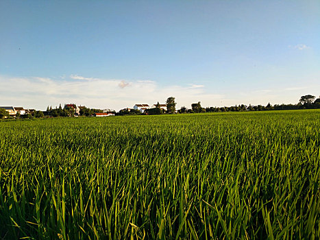 田野乡村