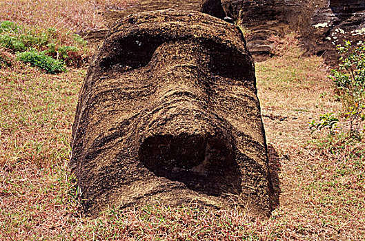 拉诺拉拉库,复活节岛石像