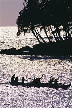 夏威夷,夏威夷大岛,湾,舷外支架,独木舟,棕榈树,海洋