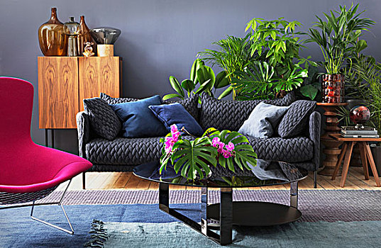 灰色,沙发,蓝色,散落,垫子,深粉色,扶手椅,多样,盆栽植物,生活方式,区域