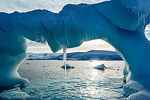 南极,冰柱,悬挂,拱形,冰山,漂浮,靠近,岛屿,湾,南极半岛,黎明