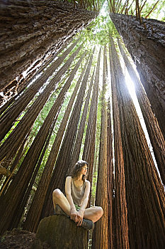坐,女人,树干,树林,加利福尼亚,美国
