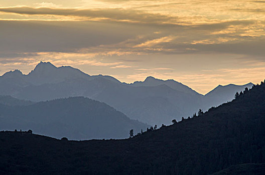 日出,国王峡谷,国家公园,加利福尼亚