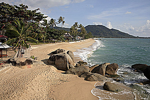 泰国,苏梅岛,帽子,海滩