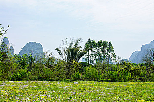 桂林田园风光