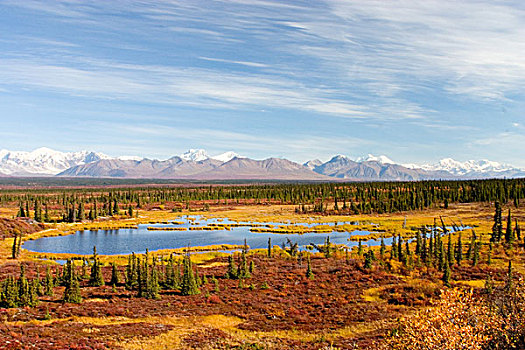 美国,阿拉斯加,湖,阿拉斯加山脉,德纳里峰,公路