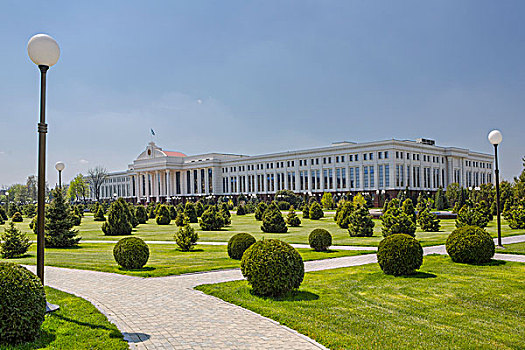 乌兹别克斯坦,塔什干,官员,参议院