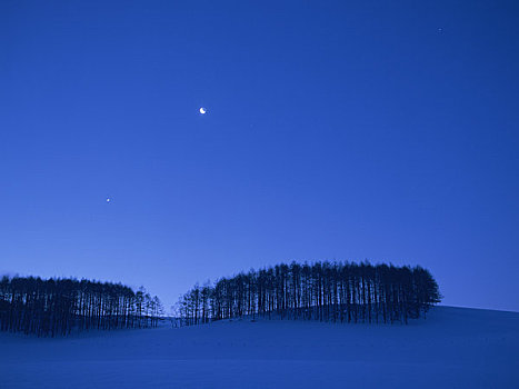 雪原,月亮,黎明