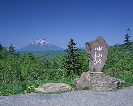 嫩绿色,山