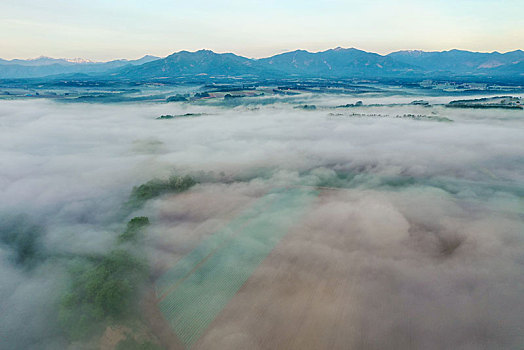 雾状,白天,北海道,日本
