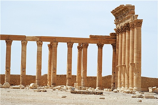 古老,帕尔迈拉,叙利亚