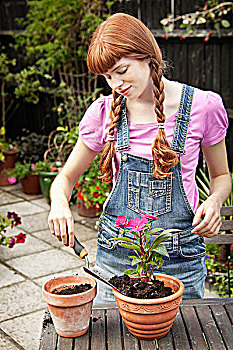 女人,移栽,植物,花园
