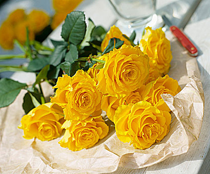 花束,黄色,玫瑰,纸
