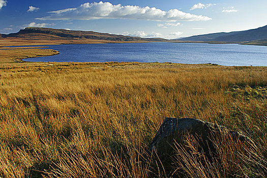 苏格兰,斯凯岛,湖,软,下午,亮光,围绕,高沼地,山