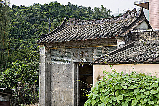 保存,文化遗产,房子,求爱,悬挂,新界,香港
