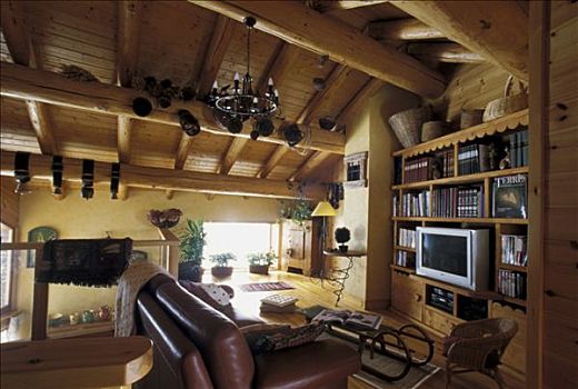 法国,木房子,客厅,沙发,茶几,书架,电视
