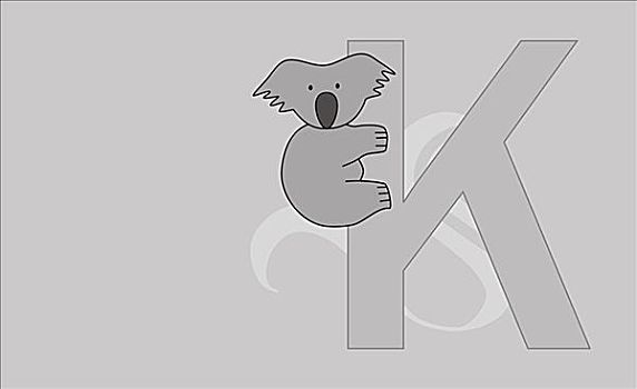 字母k,树袋熊