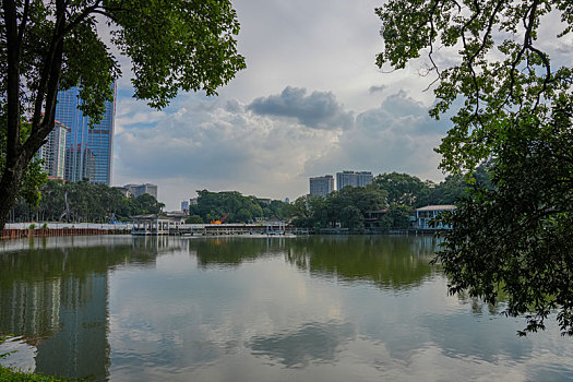 羊城广州天河公园夏天美景