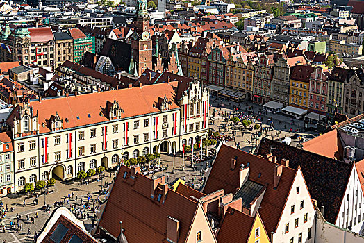 波兰,弗罗茨瓦夫,老城,风景,教堂,市场,市政厅